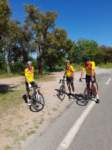 photo3_small.jpg